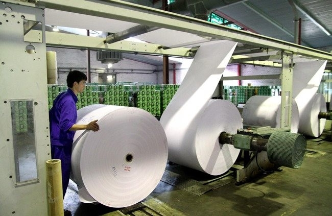 VINAPACO Tích Cực Thực Hiện Chuyển Đổi Số, Định Hình Tương Lai Bền Vững