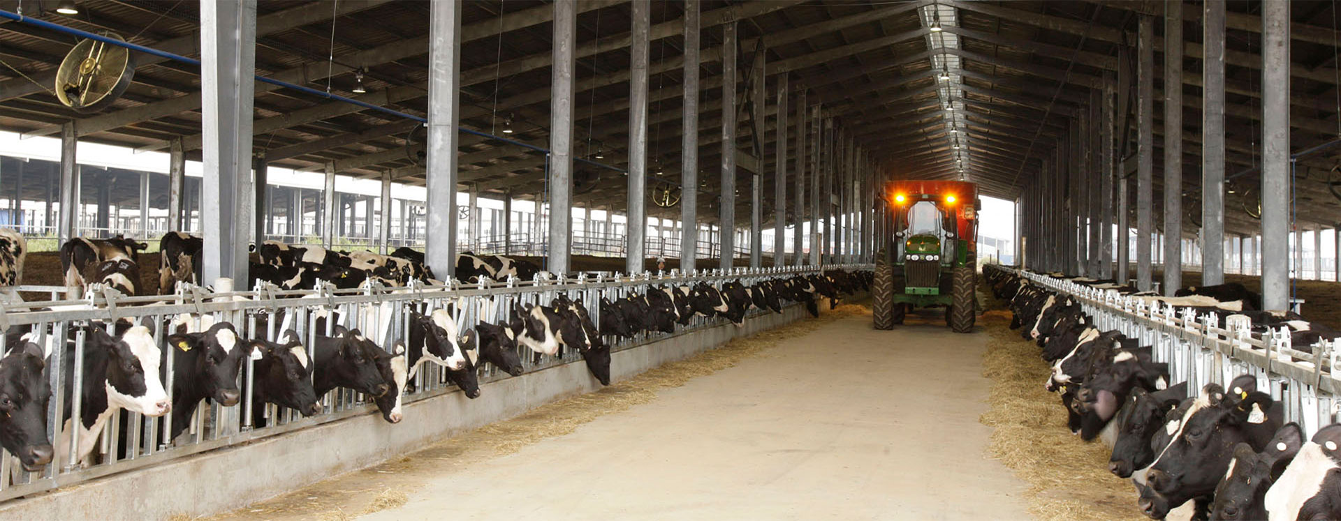 Tập đoàn TH: Ứng Dụng Công Nghệ Cao Trong Phát Triển Ngành Sữa Và Sức Khỏe Cộng Đồng